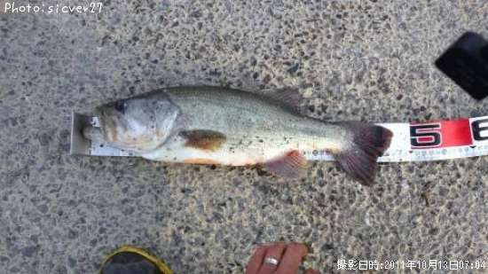 �֥�å��Х�