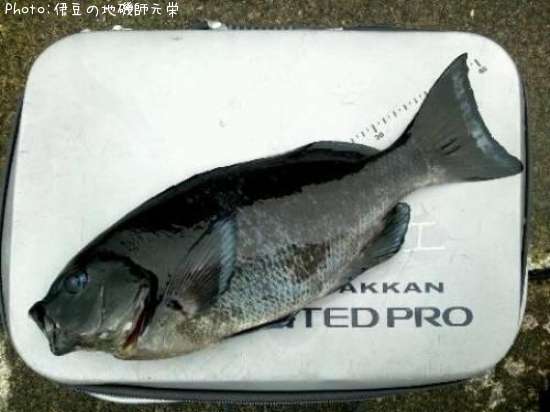 �����᥸��