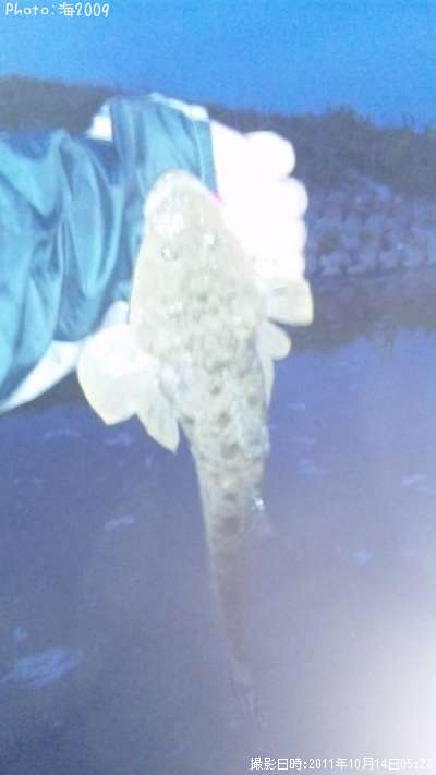 �ޥ���