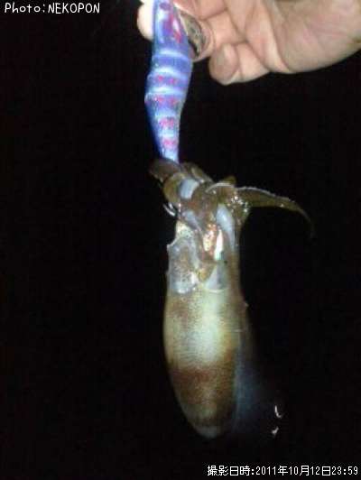 �����ꥤ��