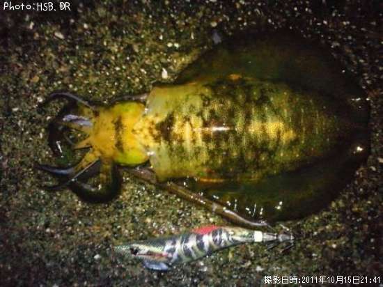 �����ꥤ��