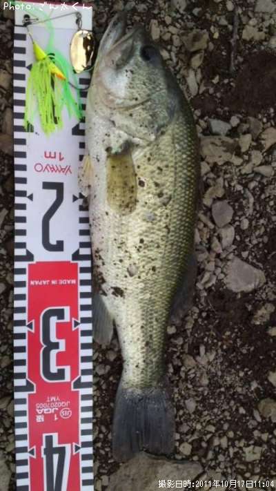 �֥�å��Х�