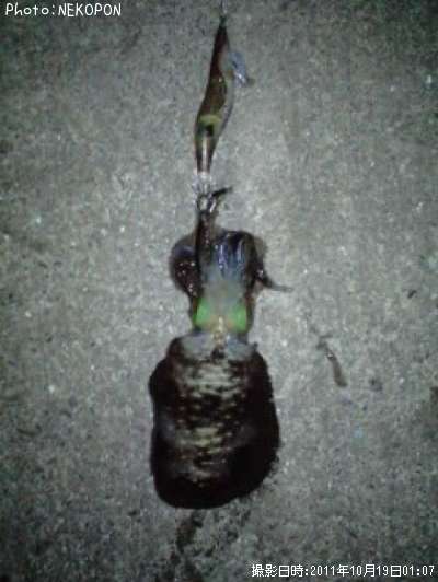 �����ꥤ��