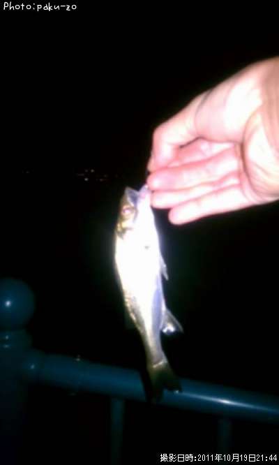 �����Х�