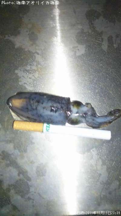 �����ꥤ��