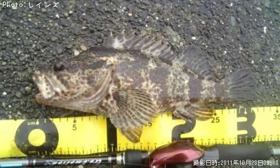 �����Υ���Х�