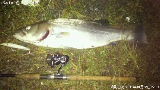 �ҥ饹����