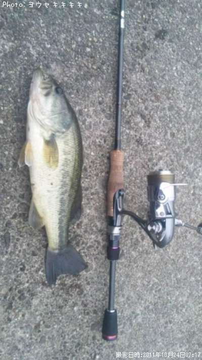 �֥�å��Х�