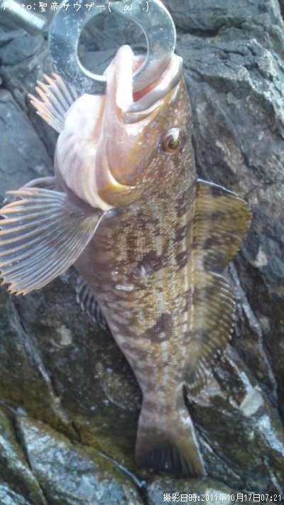 �����ʥ�