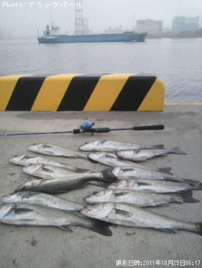 �����Х�