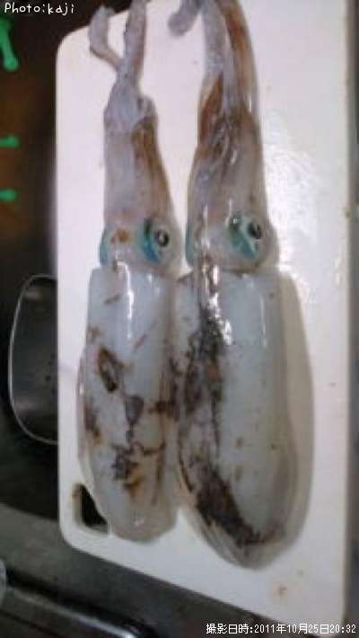 �����ꥤ��