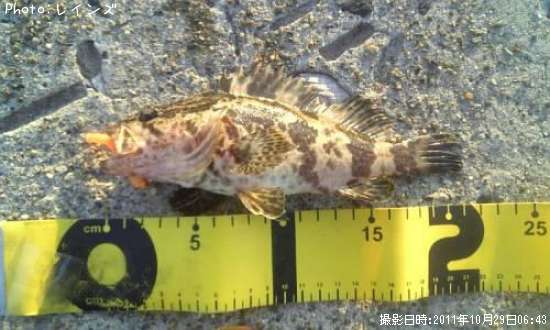 �����Υ���Х�