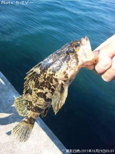 �����Υ���Х�