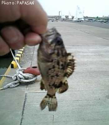 �����Υ���Х�