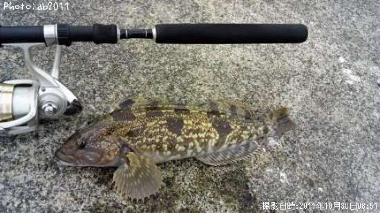 �����ʥ�