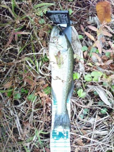 �֥�å��Х�