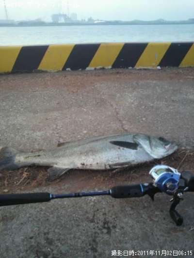 �����Х�