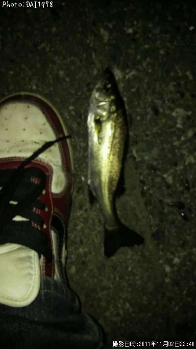 �����Х�