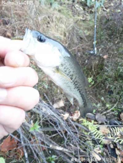 �֥�å��Х�