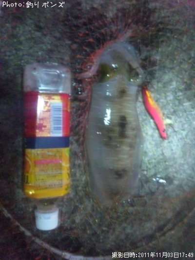 �����ꥤ��