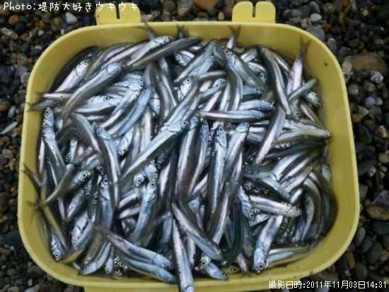 �����������亮