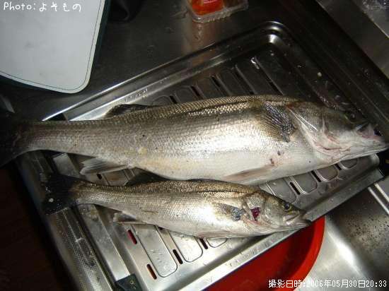 �����Х�