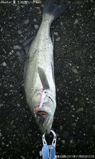 �����Х�