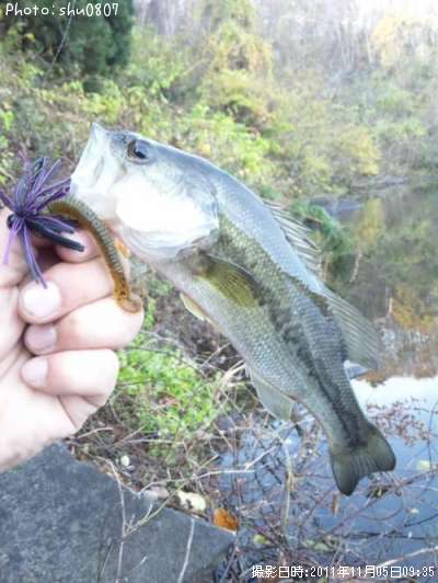 �֥�å��Х�