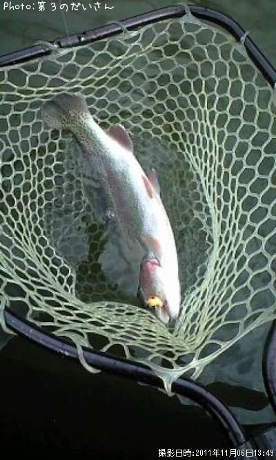 �쥤��ܡ��ȥ饦��