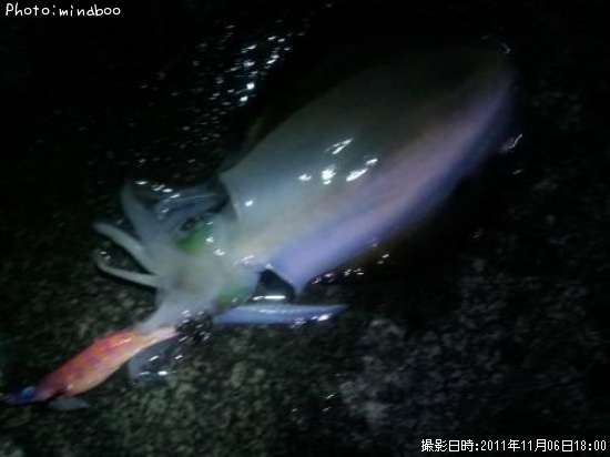 �����ꥤ��