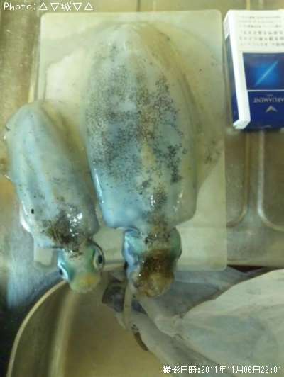 �����ꥤ��