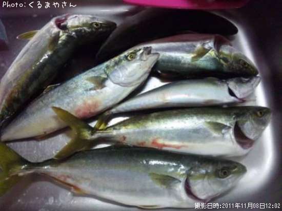 ���ʥ��Ȼ�