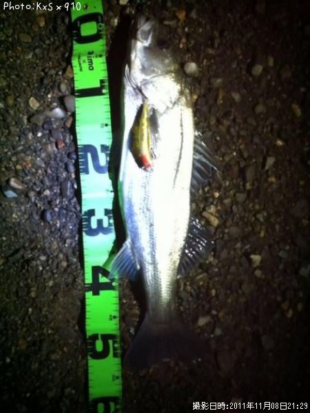 �����Х�