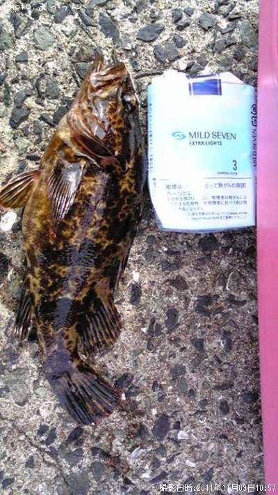 �����Υ���Х�