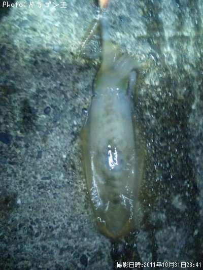 �����ꥤ��