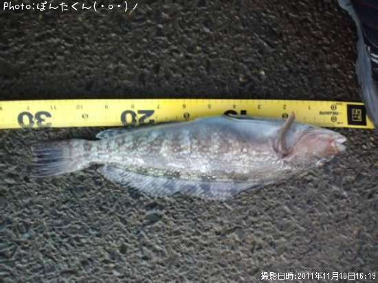 �����ʥ�