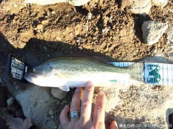 �֥�å��Х�