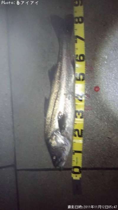 �����Х�