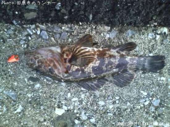 �����Υ���Х�