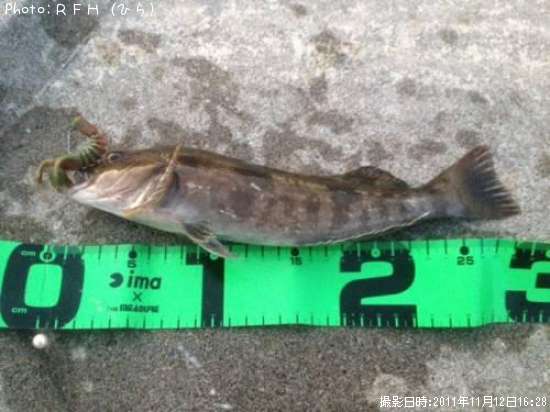 �����ʥ�