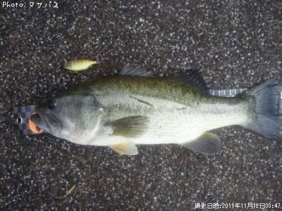 �֥�å��Х�