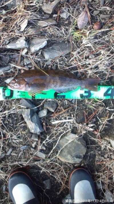 �����ʥ�