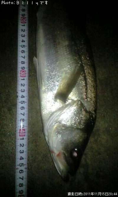 �����Х�