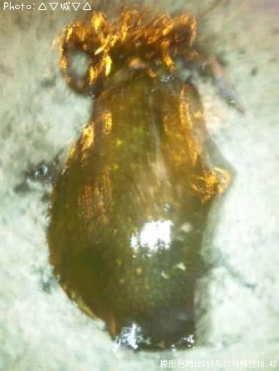 �����ꥤ��