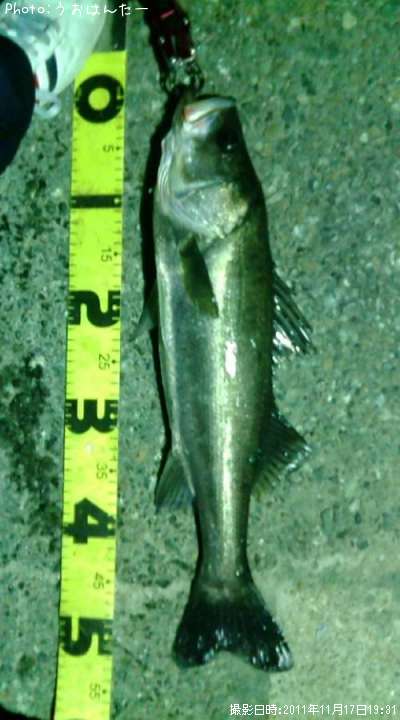 �����Х�