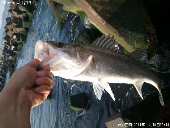 �����Х�