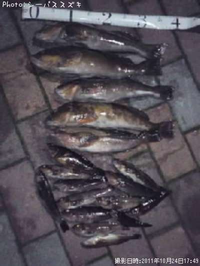 �����ʥ�