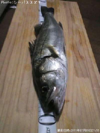 �����Х�