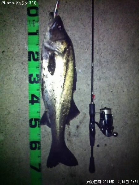 �����Х�