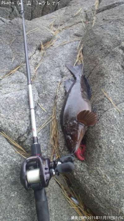 �����ʥ�